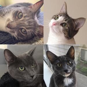 Meet your Posher, Meredith